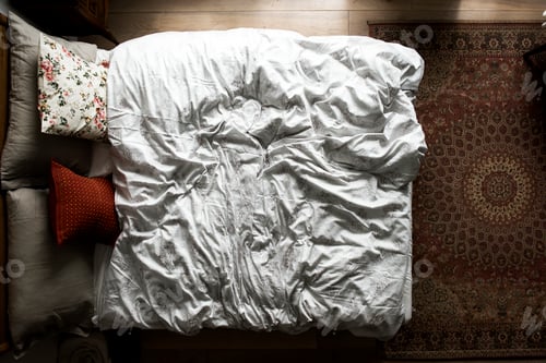 Preview: Top view of an empty bed