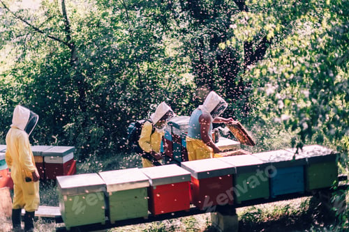 Preview: bees keeping and honey production