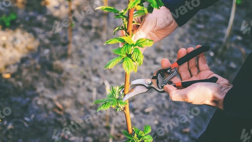 Preview: nature