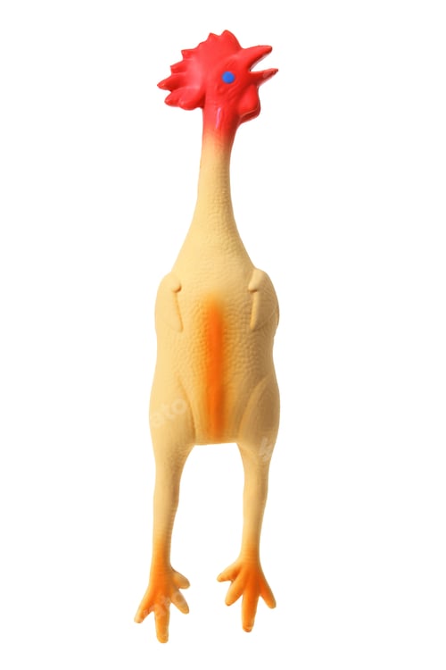 Preview: Toy Rubber Chicken