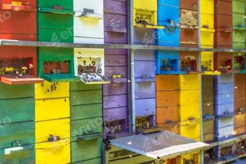 Preview: Colorful beehives