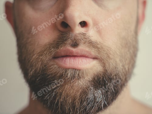 Preview: Lower section of the face of a bearded man