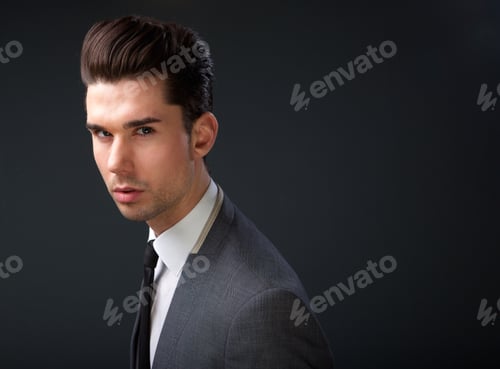 Preview: portrait of a fashionable businessman