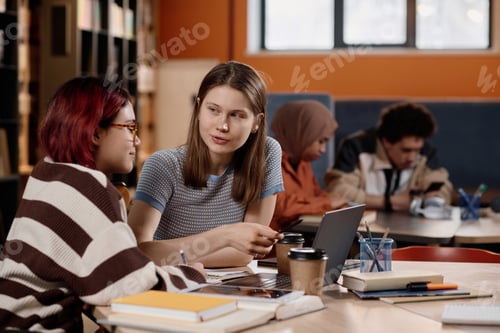 Preview: Biracial Girls Studying In Library