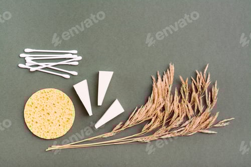 Visualização: Itens de maquiagem. Dois tipos de esponjas, cotonetes e espigas de grama em um fundo verde. Espaço de cópia