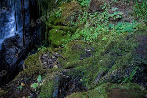 Preview: Kenya Landscape recreational park outdoors exteriors paradise lost kiambu
