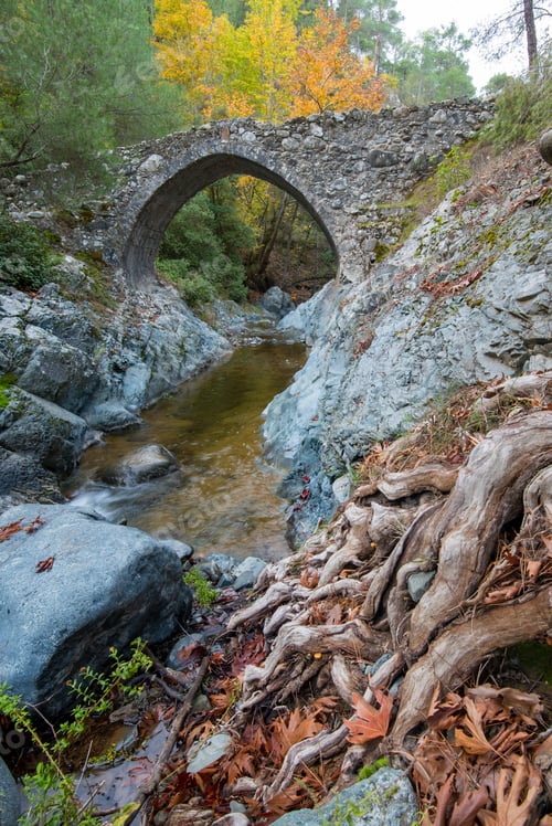 Preview: Medieval stoned bridge water flowing in the river in autumn