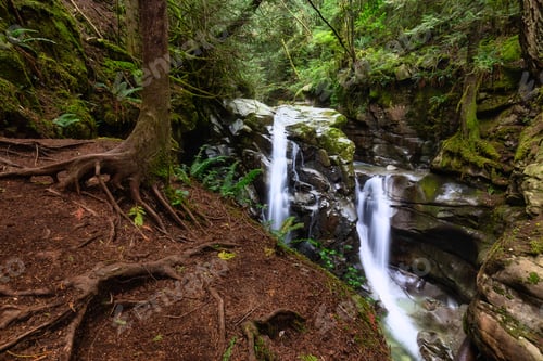 Preview: Water cascading in a canyon surrounded by green nature
