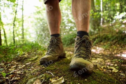 Preview: Close up of a man's feet in hiking boots on a woodland path in summer.