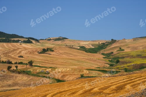 Preview: Country landscape near Rocchetta Sant Antonio, Apulia, Italy
