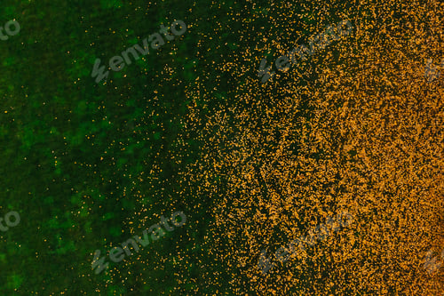 Preview: Top view of fallen yellow autumn leaves and green grass