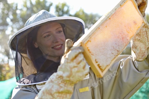 Preview: Female beekeepers holding up honeycomb tray on city allotment