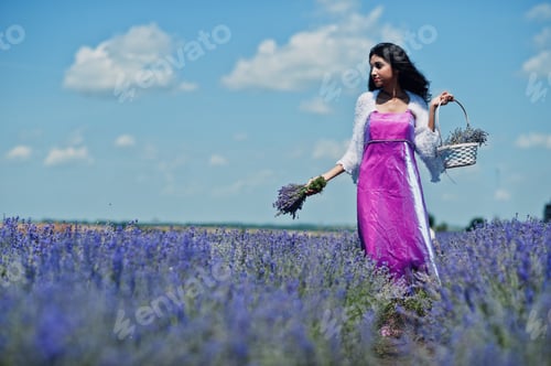 Preview: Indian lavender field