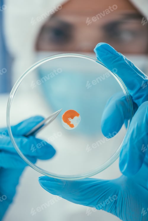 Preview: close up view of petri dish with biomaterial in hands of biochemist