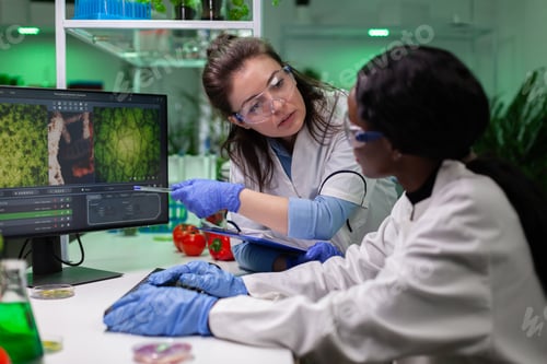 Preview: Multi-ethnic team of biologists researcher monitoring plants modified genetically