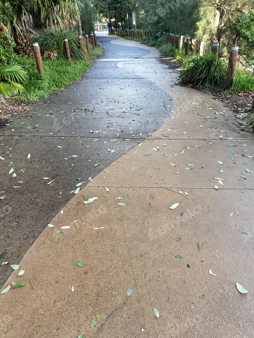 Preview: Footpath lined with plants and trees