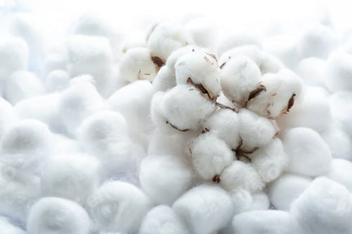 Preview: Flowers on clean cotton balls. Space for text