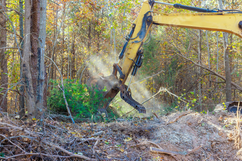 Preview: A builder uses tractor to uproot trees in forest in preparation for construction of house