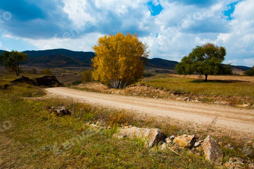 Preview: Grassland scenery