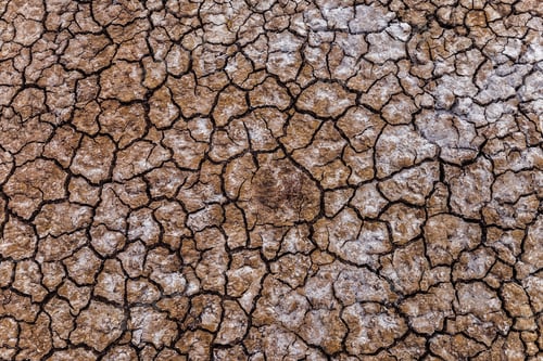 Preview: Dried soil with salt crystals