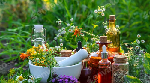 Preview: Medicinal herbs and tinctures alternative medicine. Selective focus.