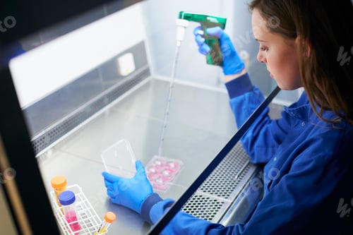 Preview: Scientist pipetting liquid into cell cultures in a lab.