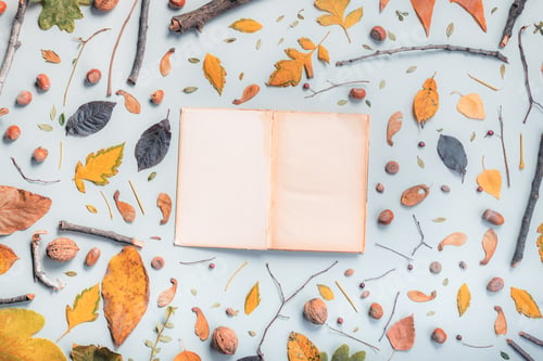 Preview: Vintage open book pages mock up with autumn decoration
