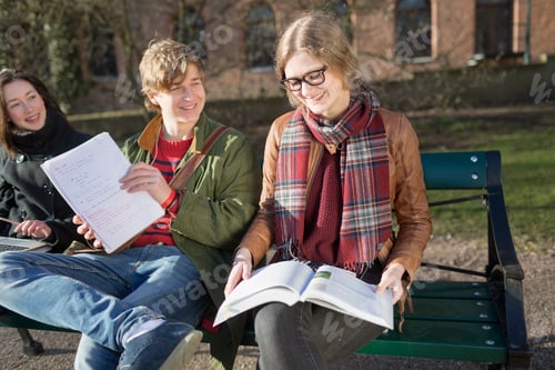 Preview: Smiling teenage friends studying in college campus