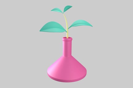 Preview: Pink flask with growing plant