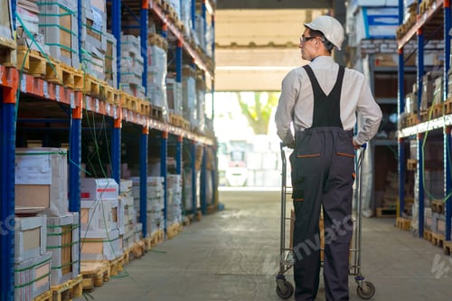 Preview: Back view of a warehouse worker with a trolley