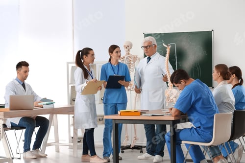 Preview: Medical students and professor studying human spine structure in classroom