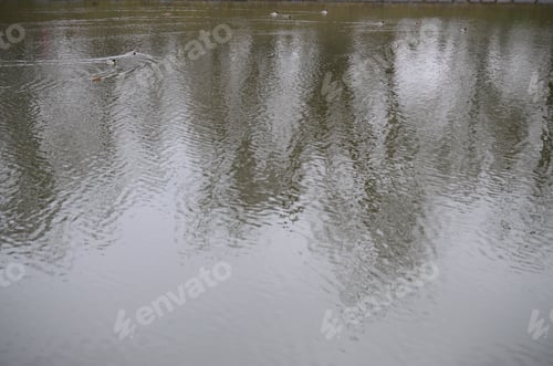 Preview: The texture of the water in the river under the influence of wind