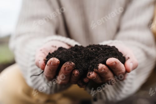 Preview: Hands of farmer showing black soil in agricultural field.