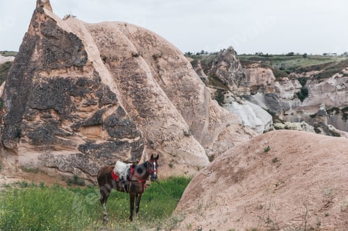 Preview: beautiful horse standing on grass near scenic rock formations, cappadocia, turkey