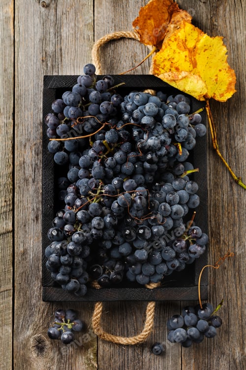 Preview: Homemade grapes in a black box on old wooden background. Vintage style. Top view