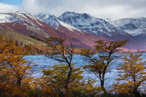 Preview: Autumn in Patagonia