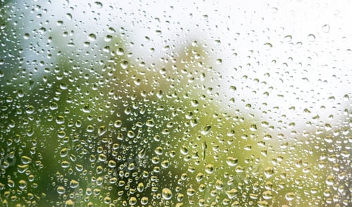 Preview: Raindrops on window glass
