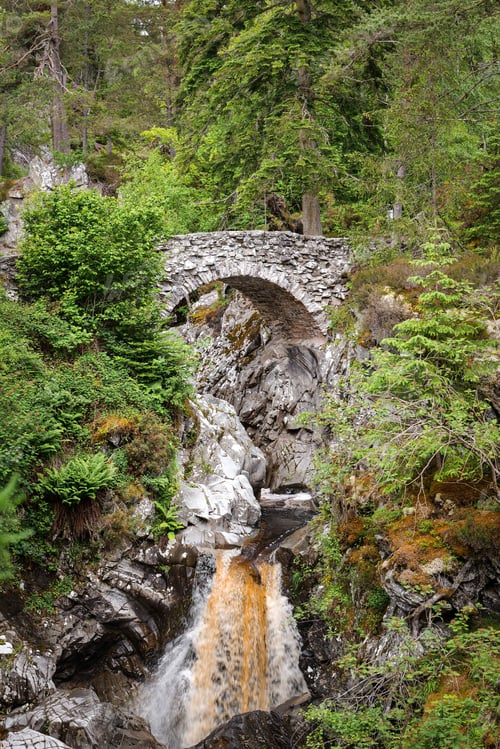 Preview: Stone bridge over waterfall in lush forest