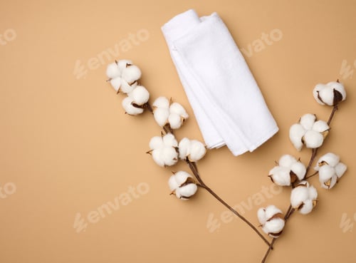 Preview: Folded white cotton terry towel and sprigs of cotton flower on a light brown background