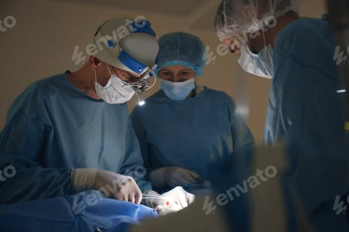 Preview: Professional doctors performing