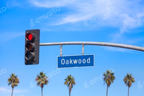 Preview: Red street light in LA, California with palm trees