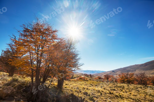 Preview: Autumn in Patagonia