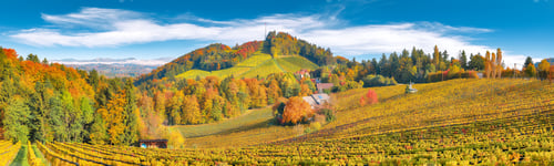 Preview: Splendid vineyards landscape in South Styria near Gamlitz.
