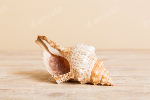 Preview: Summer time concept with sea shells or starfish on a table background with copy space for text