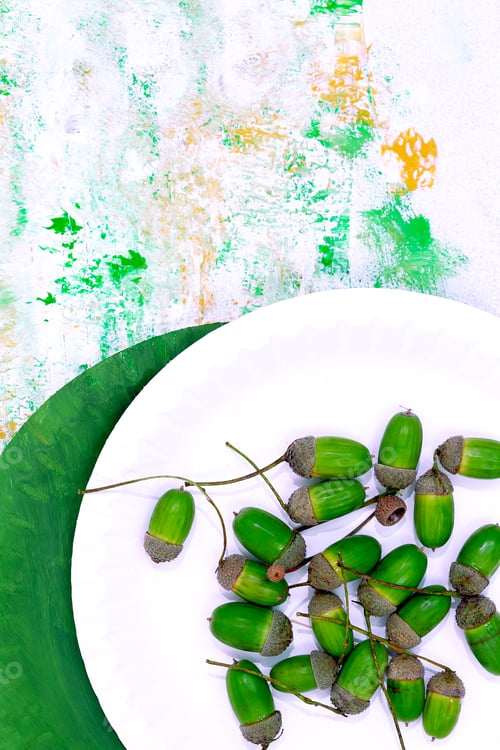 Preview: Acorn on design painted background. Minimal art. Autumn eco bio life concept