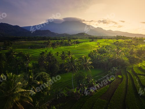 Preview: Aerial view of asia in indonesian rice fields with mountains at sunrise