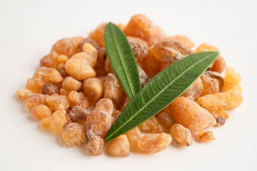 Preview: Frankincense or olibanum aromatic resin isolated on white background used in incense and perfumes.