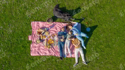 Preview: Happy family relaxing and having fun together outdoors during a picnic in the park with their dog
