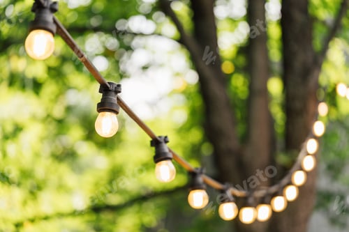 Preview: Close Up Of Glowing String Lights, Street Decor In Summer Garden With Blurred Green Trees Background