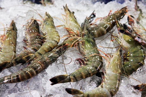 Preview: Fresh Raw Prawns on Ice Display